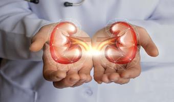 Understanding Kidney Disease