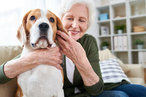 Pet Appreciation Day: The Health Benefits of Furry Friends