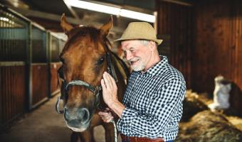 How Horses Can Help Seniors With Dementia