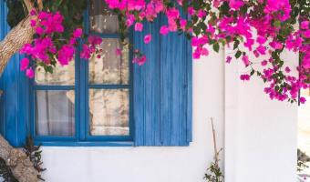 6 Tips to Prepare Your Home for Warmer Weather