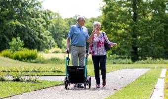 Summer Activities for Older Adults in Newberg