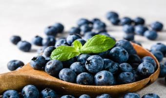 National Blueberry Month: Five Proven Health Benefits for Older Adults