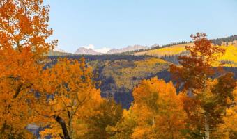 Fall Activities for Seniors in and Around Eagle, Colorado
