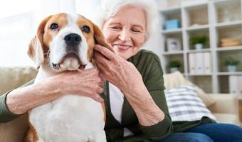 Which Dogs Are Best for Older Adults
