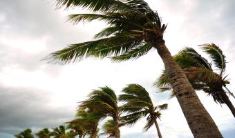 Hurricane Preparedness for Punta Gorda Area Seniors