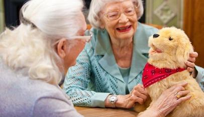 Electronic pet for the elderly