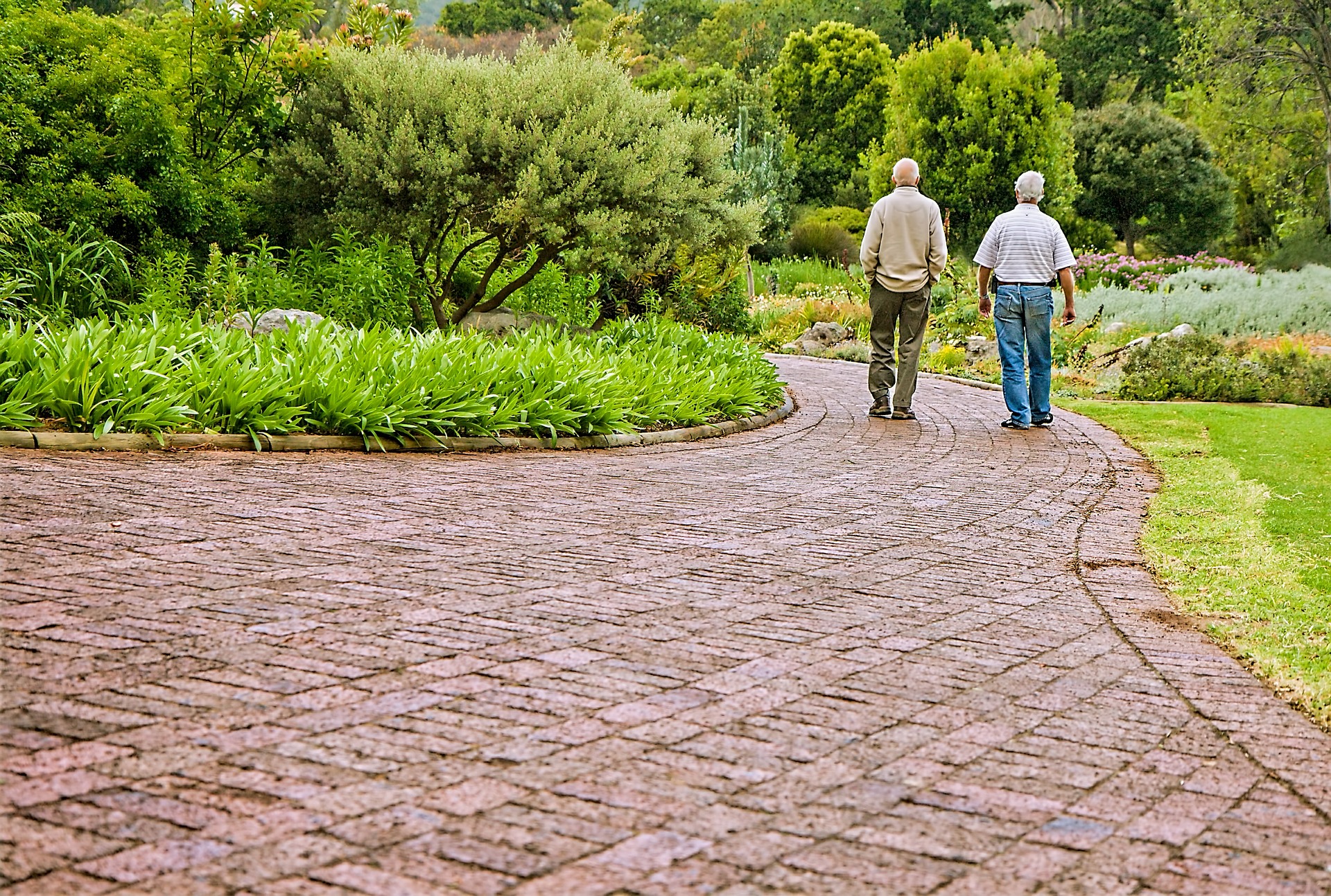 how do you know if your parents need senior care?