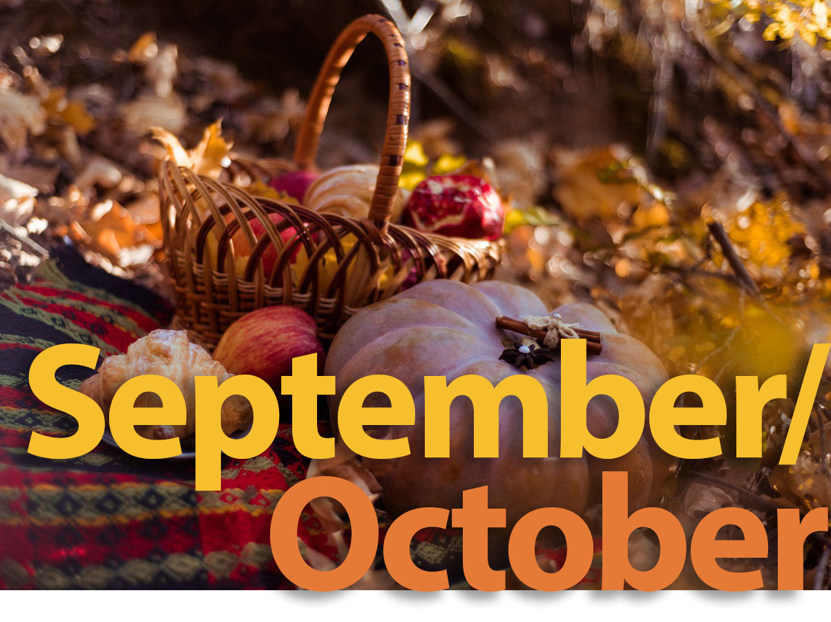 September-October Home Care News by Angels