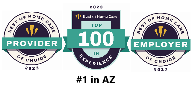 Home Care Pulse 2023 Award 