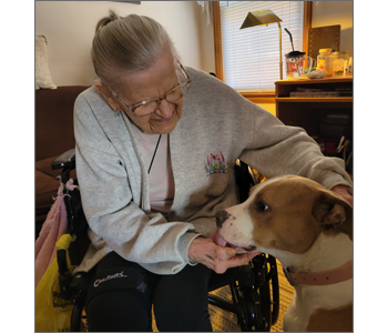 Seniors and Their Pets