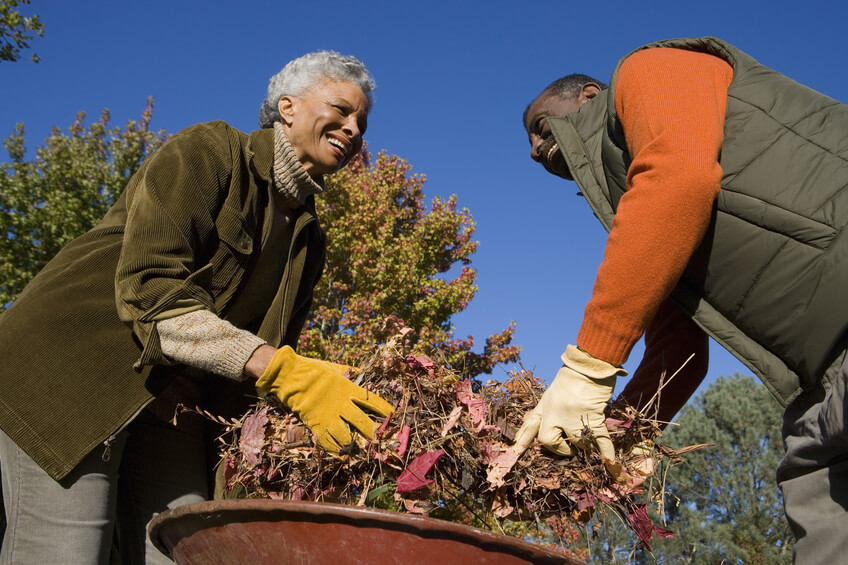 people doing yard work