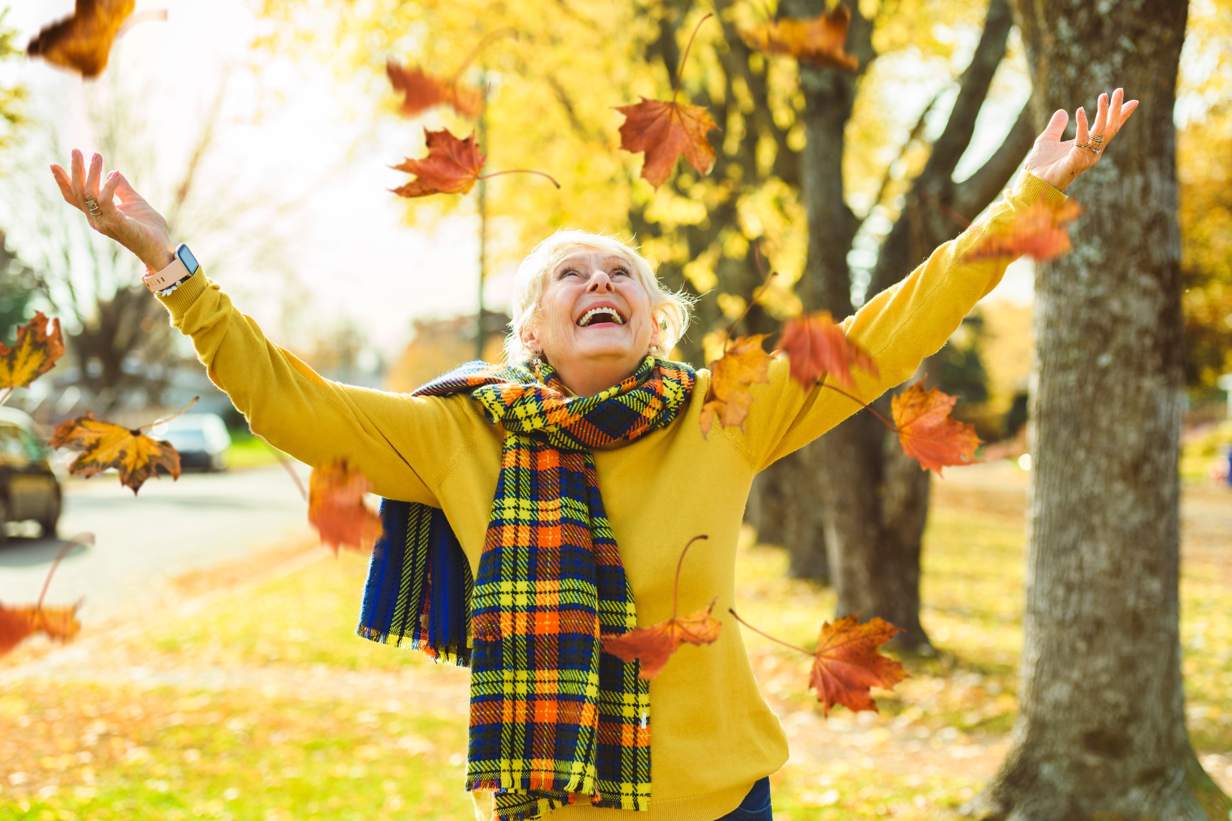 Golden Moments: Fall Activities for Seniors in Green Bay