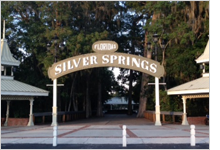 Silver Springs, FL sign 