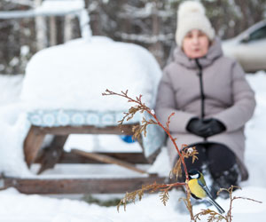 Four New Hobbies Seniors Should Try This Winter