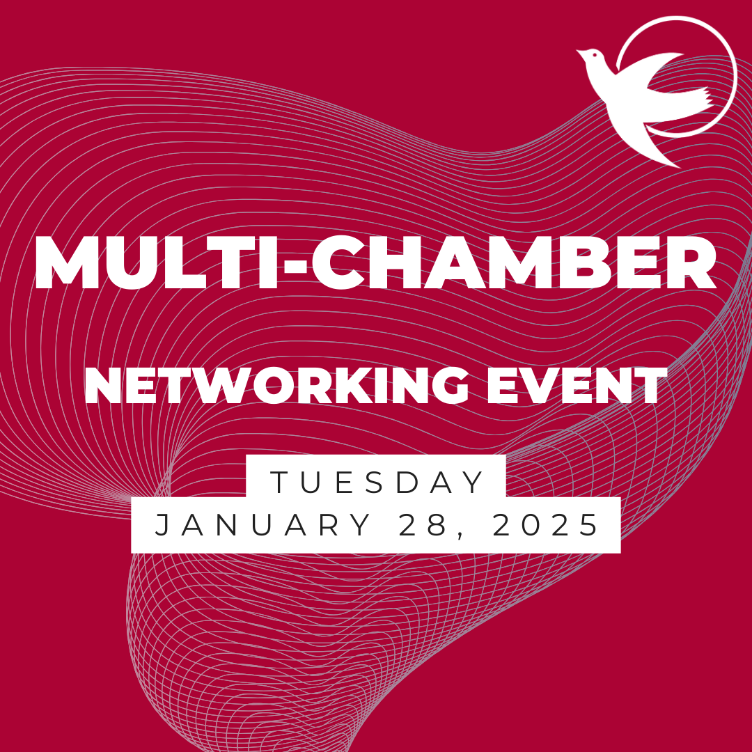 mullti chamber networking event flyer