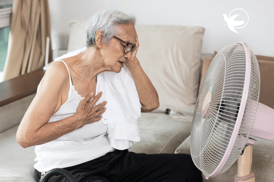 Keeping Senior Loved Ones Safe & Cool