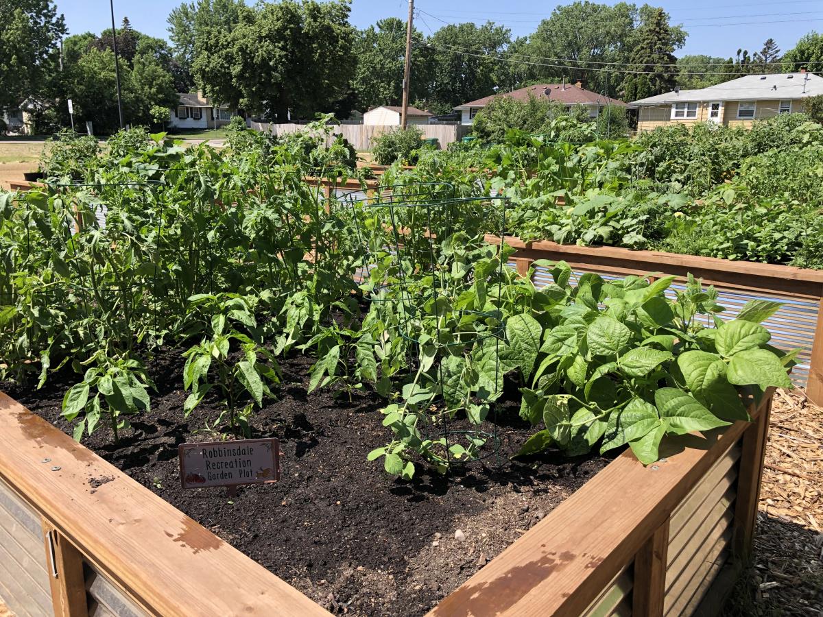 Robbinsdale, MN Community Garden