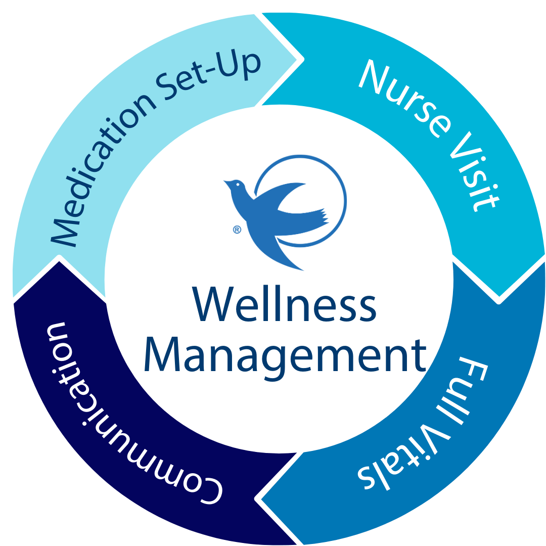 Visiting Angels Wellness Management