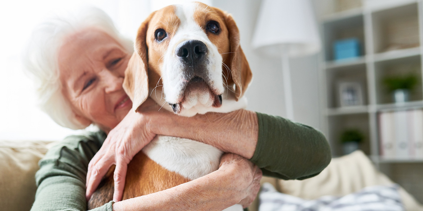 18 Recommended Dogs for Seniors Who Need a Furry Friend